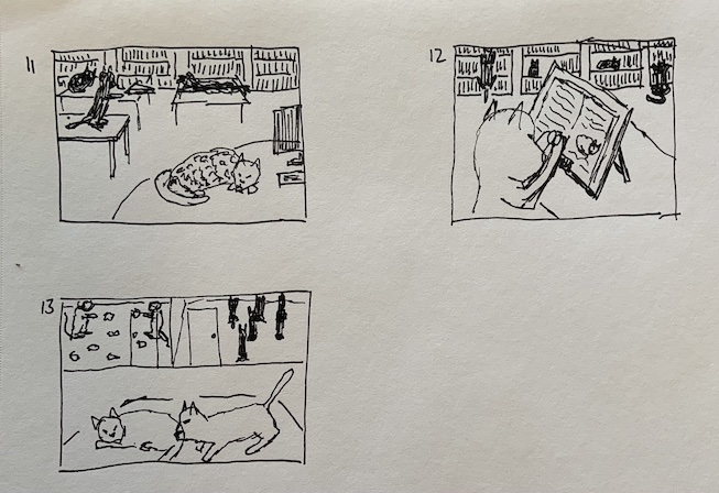 A cat in a library thumbnails