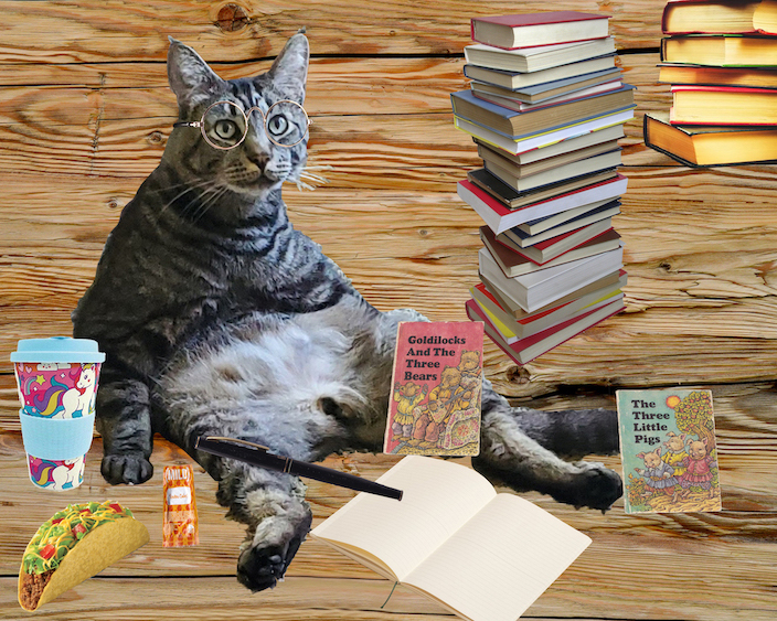 cat and book collage