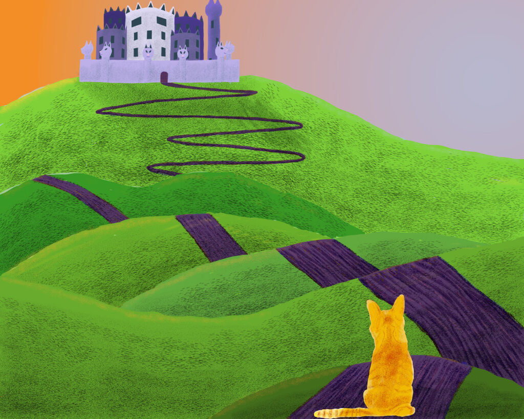 cat looking at castle in distance